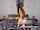 camgirl dildo big tits