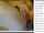 amateur webcam teen