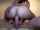 anal big ass big tits