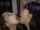 asian lesbian kiss