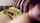 camgirl amateur webcam