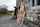 bdsm bondage blond