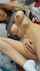 blonde teen busty