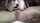 threesome lesbians hot