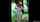 swap forest outdoors