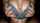 big tits titfuck cum