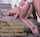 anal cheating big ass