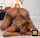 brazzers lesbian black
