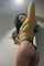 asian amateur thick