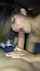amateur blow blowjob