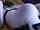 pornhub body ass