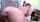 anal bigass bigbutt