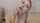 camgirl amateur anal