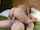 laina brunette riding