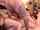 camgirl glasses blowjob