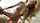digital playground blonde teen