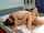 lesbian kissing tribbing