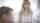 puretaboo teen blonde