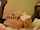 camgirl ballgag masturbation