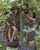 amateur girls women