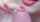 white girl blowjob white dick