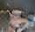 threesome tattoo blonde