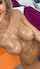boobs cum blond