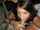 blowjob brunette pigtails