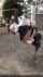 japanese schoolgirl school uniform