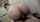 jav japanese big ass
