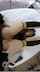 camgirl amateur ebony