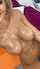 fake tits cum blonde