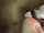 bdsm mask interracial blowjob