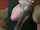 black hair short hair blowjob