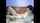 camgirl camgirls lesbian