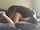 interracial amateur doggy