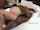 bbc interracial pregnant