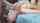 camgirl amateur deepthroat