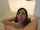 blowjob pornstar pov