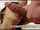 asian anal sex