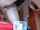 camgirl webcam chaturbate