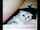 camgirl cat streamer