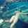 underwater bikini scuba diving