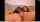 webcam lesbians licking