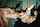 amateur lesbian threesome