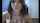 asian webcam amateur
