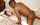 interracial redhead redhead black