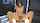 machine black hair tits