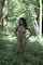 ebony model woods