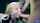 underwater blonde swallow